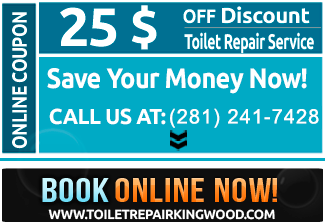 special offer for toilets repair