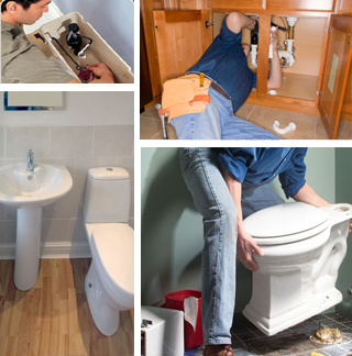professional plumbing toilet repair